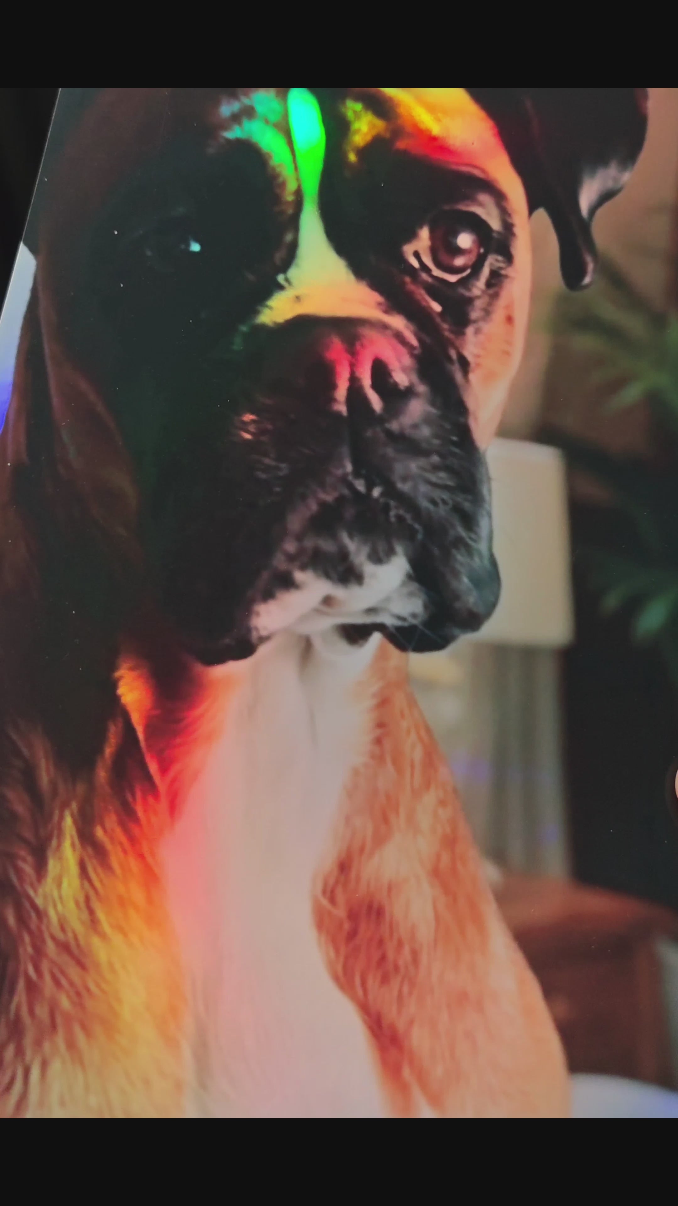 Holographic Inkjet Photo Paper